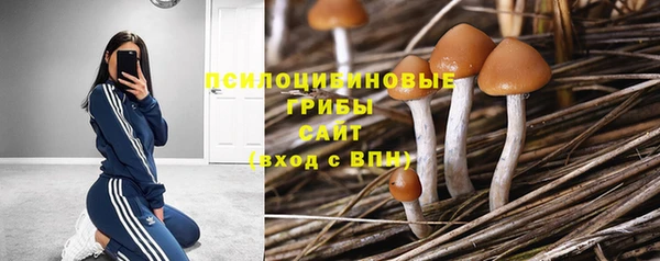 гидра Новокубанск