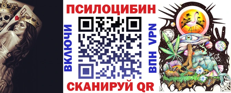 Галлюциногенные грибы Psilocybine cubensis  Чебаркуль 